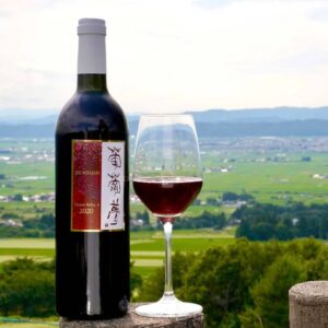 山並みを背景にした赤ワインボトルとワイングラス