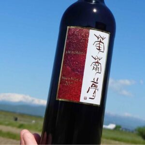 青空を背景にした赤ワインボトル